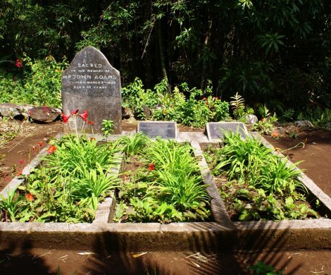 Das Grab von John Adams wird heute noch gepflegt