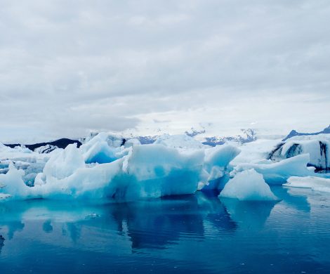 In der Gletscherlagune schwimmen Dutzende Eisberge