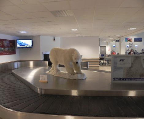 Bereits am Gepäckband des Flughafens Longyearbyen steht ein Eisbär