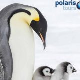 Polaris Tours stellt Katalog 2018 vor