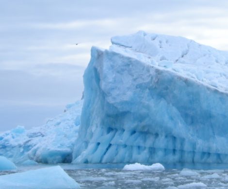 In der Antarktis ist der Einsatz von Schweröl bei Kreuzfahrtschiffen bereits verboten, jetzt soll dies auch in der Arktis umgesetzt werden.