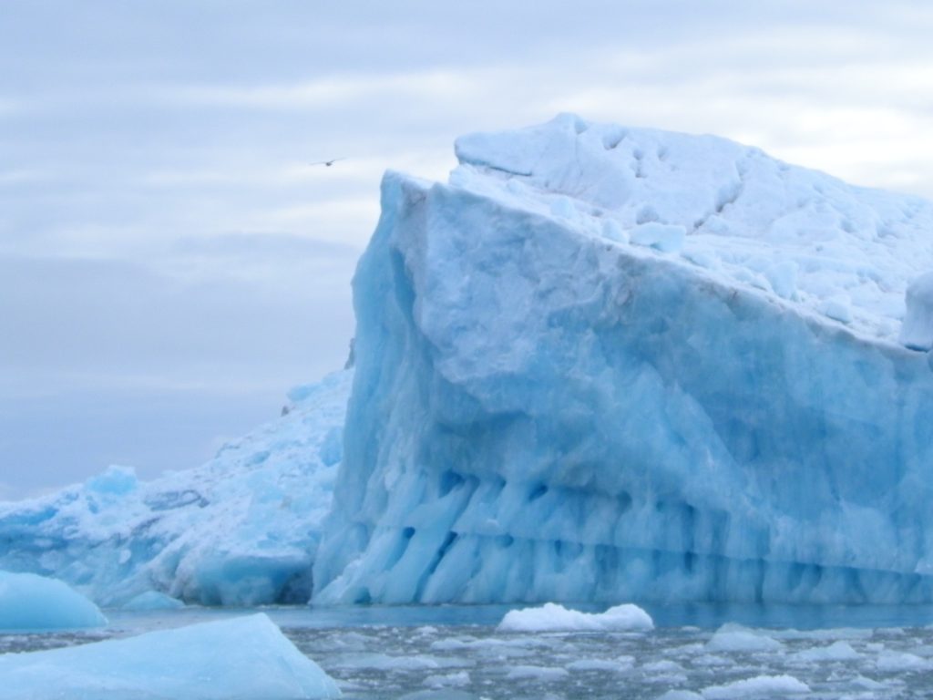 In der Antarktis ist der Einsatz von Schweröl bei Kreuzfahrtschiffen bereits verboten, jetzt soll dies auch in der Arktis umgesetzt werden.