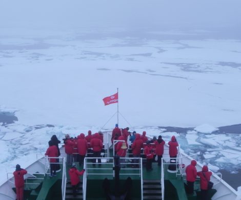 Kreuzfahrtschiffe sollen bald auch in der Arktis nicht mehr mit Schweröl fahren dürfen