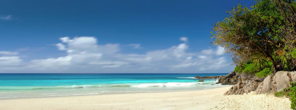 Die Seychellen werden ein Meeresschutzgebiet von der Größe Großbritanniens einrichten. Es soll rund ein Drittel der Gewässer des Landes im Indischen Ozean umfassen. Damit soll die einzigartige Artenvielfalt langfristig geschützt werden.