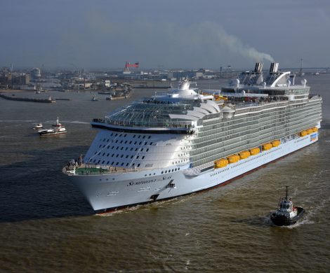 Royal Caribbean Cruises will zukünftig Einwegkunststoffe verbannen und wird ab der nächsten Saison auf allen 50 Schiffen auf Plastikstrohhalme verzichten