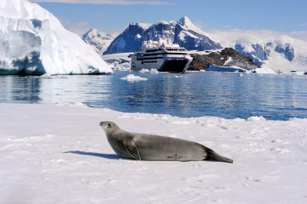Die französische Kreuzfahrtreederei Ponant und National Geographic Expeditions bieten erstmals gemeinsame Reisen in die Polar- und Warmwasserregionen an.