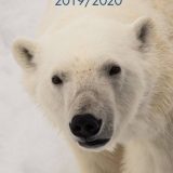 Polaris Tours bietet in seinem neuen Katalog Arktis & Antarktis 2019/2020 insgesamt 40 unterschiedliche Kreuzfahrten und Expeditionen mit vielen Terminen