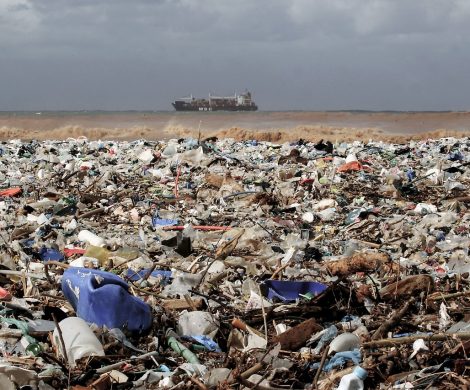 Die Weltbank hat vor einer drastischen Zunahme der weltweiten Müllmenge gewarnt, die bis zum Jahr 2050 um 70 Prozent steigen werde