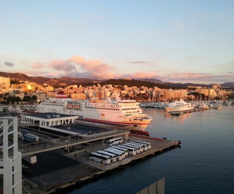 Auf Mallorca boomt der Kreuzfahrttourismus: Mehr als 1,3 Millionen Passagiere bis Juli entsprechen einer Zuwachsrate von mehr als 23 Prozent