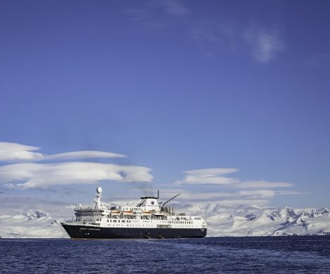 Intrepid Travel bietet für die nächste Saison neue nachhaltige Polartouren an, mit der neu renovierten Ocean Endeavour ab Oktober 2020. 