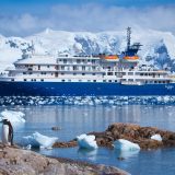 Antarktisspezialist Chimu Adventures bietet derzeit 20 Prozent Rabatt auf diverse Schiffsreisen in die Antarktis, die Falklandinseln und nach Südgeorgien