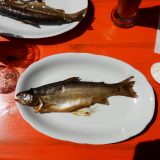 Enjoy your Catch heißt das neue Erlebnisprogramm von Seabourn: Frischer Fisch auf den Tisch und das auch noch selbst gefangen!