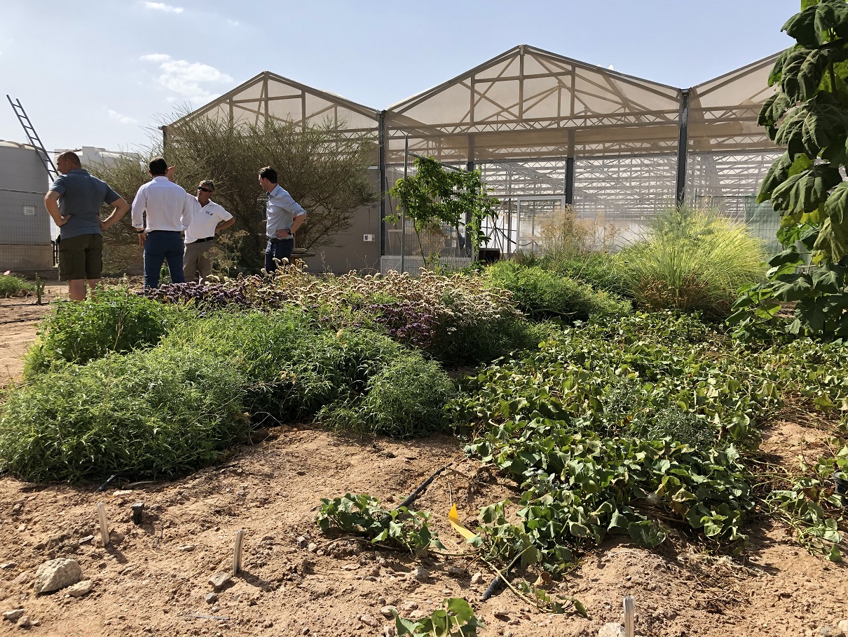 Die Costa Gruppe arbeitet ab sofort durch die Costa Crociere Foundation mit der Sahara Forest Project Foundation zusammen. Ziel der Kooperation ist es, die Wiederbepflanzung der Wüste in Jordanien mit nachhaltigen Technologien zu stärken und weiter voranzutreiben.