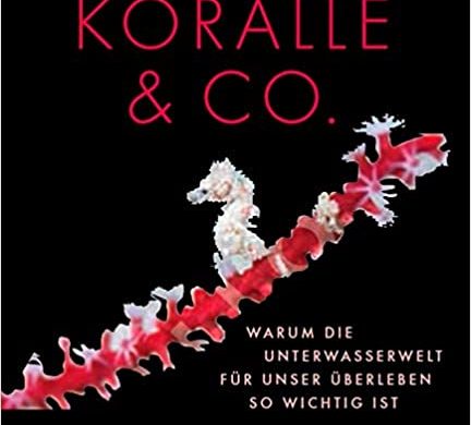 Buchkritik / Rezension Koralle & Co von Dr. Richard Smith, DeliusKlasing Verlag: Faszinierende Fotografien und geballtes Wissen - großartig!