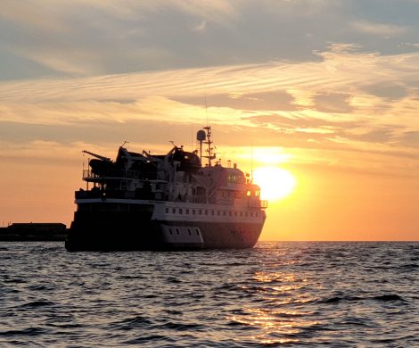 Reportage über eine Expedition mit dem Kreuzfahrtschiff Quest durch das Wattenmeer ab/bis Hamburg nach Helgoland, Sylt, Amrum & den Halligen