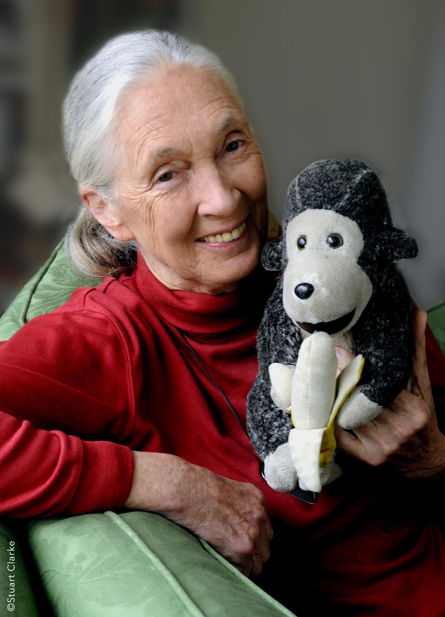 Diskutieren Sie mit Dr. Jane Goodall über die Auswirkungen von Reisen auf die Tierwel, Link: https://retravellive.com/de/  