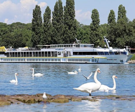 Plantours Kreuzfahrten legt das bisher größte Angebot an Flussreisen in Deutschland auf: 50 Routen mit drei Schiffen