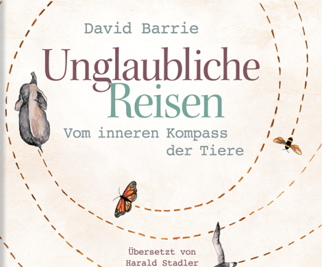 Rezension / Buchbesprechung Unglaubliche Reisen von David Barrie, mare Verlag, zugleich informativ und unterhaltsam
