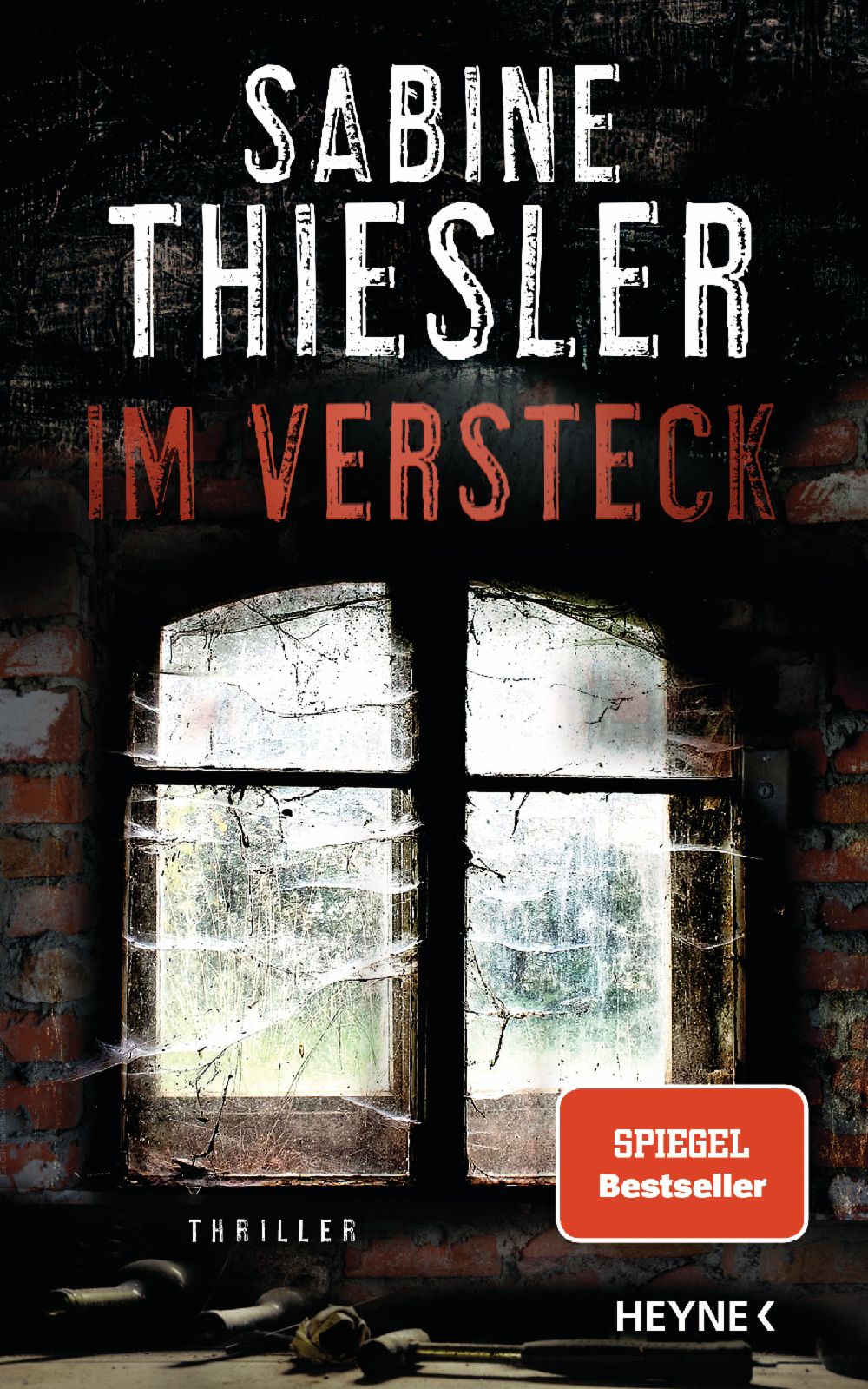 Buchkritik / Rezension "Im Versteck", Sabine Thiesler, Heyne Verlag. Aufwühlender Thriller mit ernsten Themen, spannend, aber manchmal fast nicht auszuhalten.