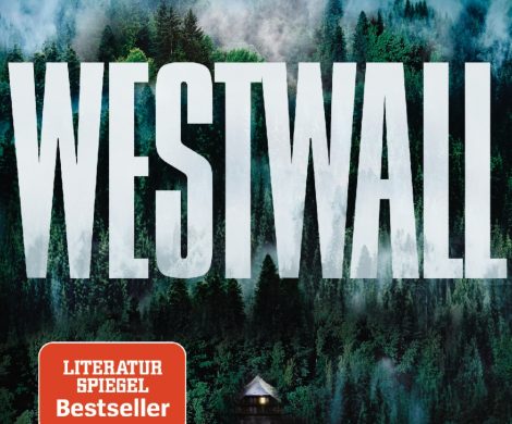 Rezension / Buchkritik Westwall, Benedikt Gollhardt, Penguin Verlag. Lässt sich flott lesen, ein Thriller mit politischem Thema als Gerüst.