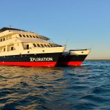 Mit der Celebrity Xploration ist die Reederei wieder mit drei Schiffen rund um Galápagos unterwegs. Mit lediglich acht Kabinen und maximal 16 Passagieren an Bord ist der Luxus-Katamaran das mit Abstand kleinste Schiff der Celebrity-Expeditionsflotte