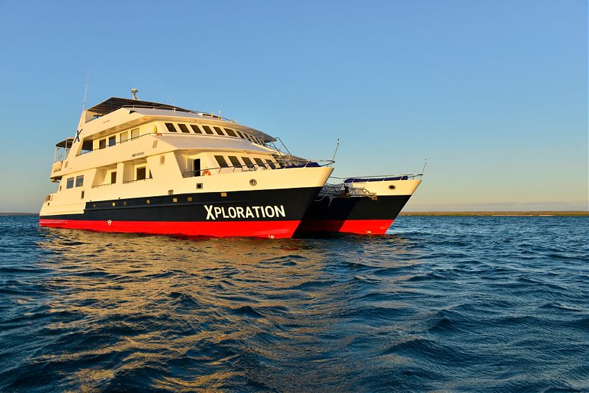 Mit der Celebrity Xploration ist die Reederei wieder mit drei Schiffen rund um Galápagos unterwegs. Mit lediglich acht Kabinen und maximal 16 Passagieren an Bord ist der Luxus-Katamaran das mit Abstand kleinste Schiff der Celebrity-Expeditionsflotte